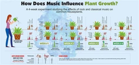 Does Music Help Plants Grow? And What About Plant Growth in Different Environments?