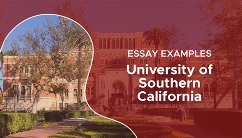 does usc require an essay