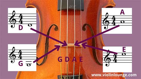 How to Read Sheet Music for the Violin: A Comprehensive Guide with FAQs